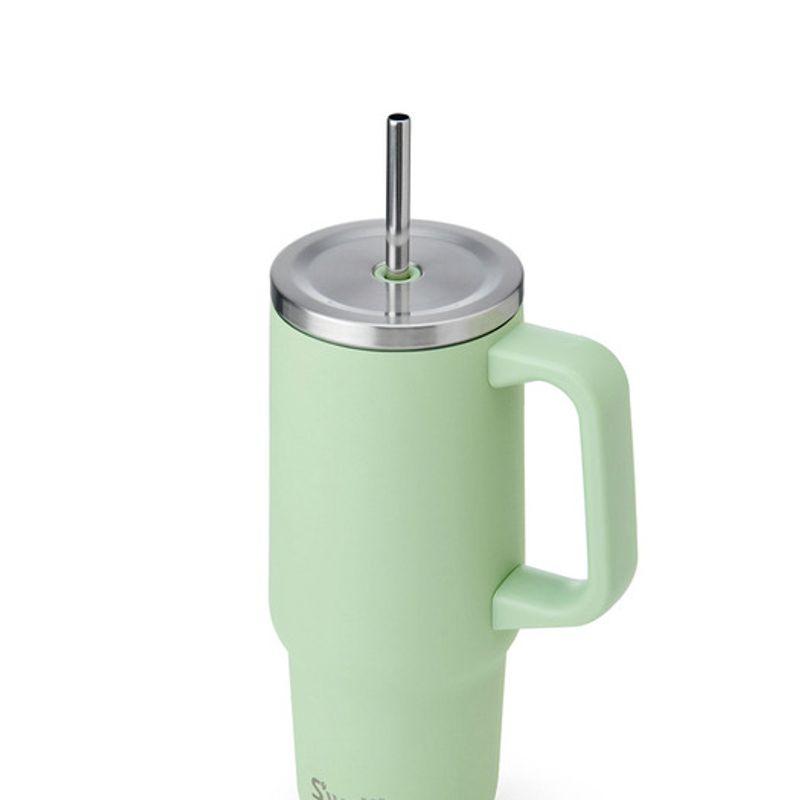 Swell Tumbler Extra Large 880ml Pistazie