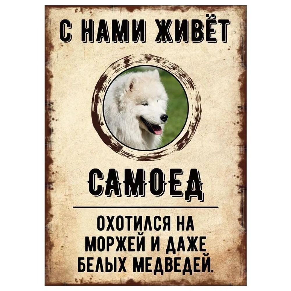 Schild, dekorativ, GEFAHR HUND, Schnauzer lebt bei uns, 20x30cm