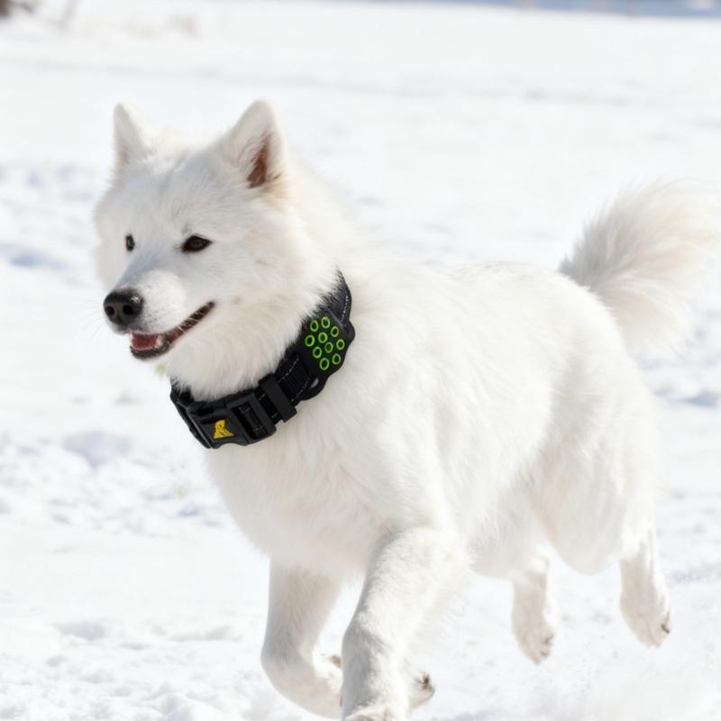 Reflective Cats Dog Collar for Tracking Device Durable Soft Wear for Training Wear Detachable Belt