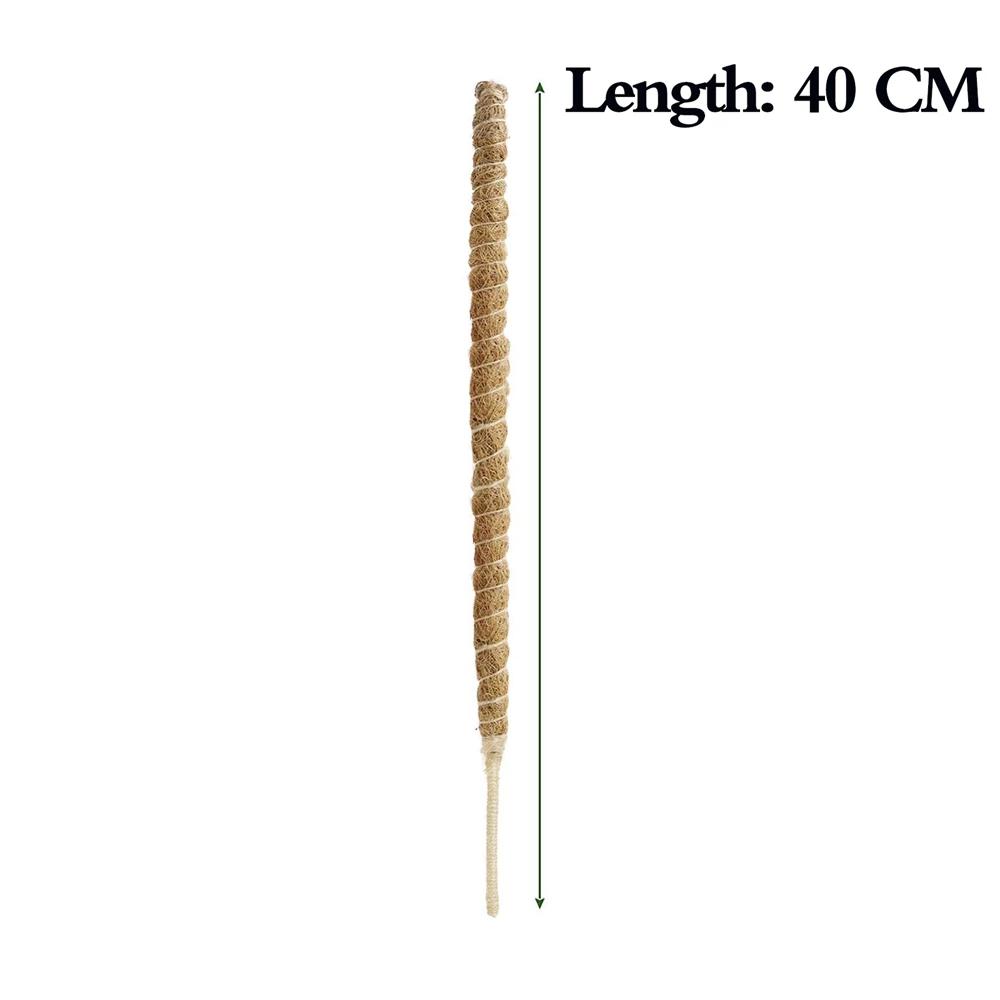 

Plant Vine Traction Climbing Pole DIY Modeling Plant Climbing Rod Climbing Vine Coconut Palm Rod Can Be Bent Gardening Pillar