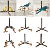 Bird Perch Nature Molar Stand for Parrots Conure Supplies Budgies Grinding Scratchers for Small Medium Parrots Toy