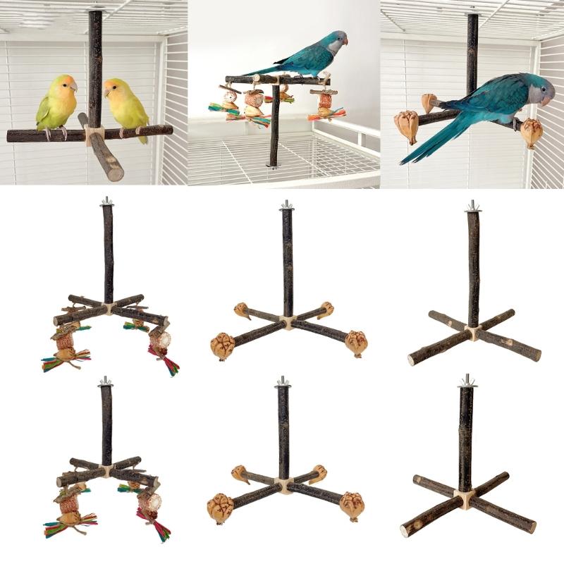 Bird Perch Nature Molar Stand for Parrots Conure Supplies Budgies Grinding Scratchers for Small Medium Parrots Toy