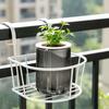 Maceta Auto-riego Transparente de Plástico con Mechas Depósito de Agua Diseño de Rayas Verticales Maceta Interior Moderna para Potos Anturio