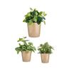 Set De Pots De Fleurs - Ibergarden - 3 Pièces - Beige - Ø 14 Cm, Ø 17 Cm, Ø 22 Cm - Conique