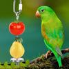 Stainless Steel Bird Cage Accessories Parrots Feeding Set Foraging Cup Feeders Fruit Fork Durability