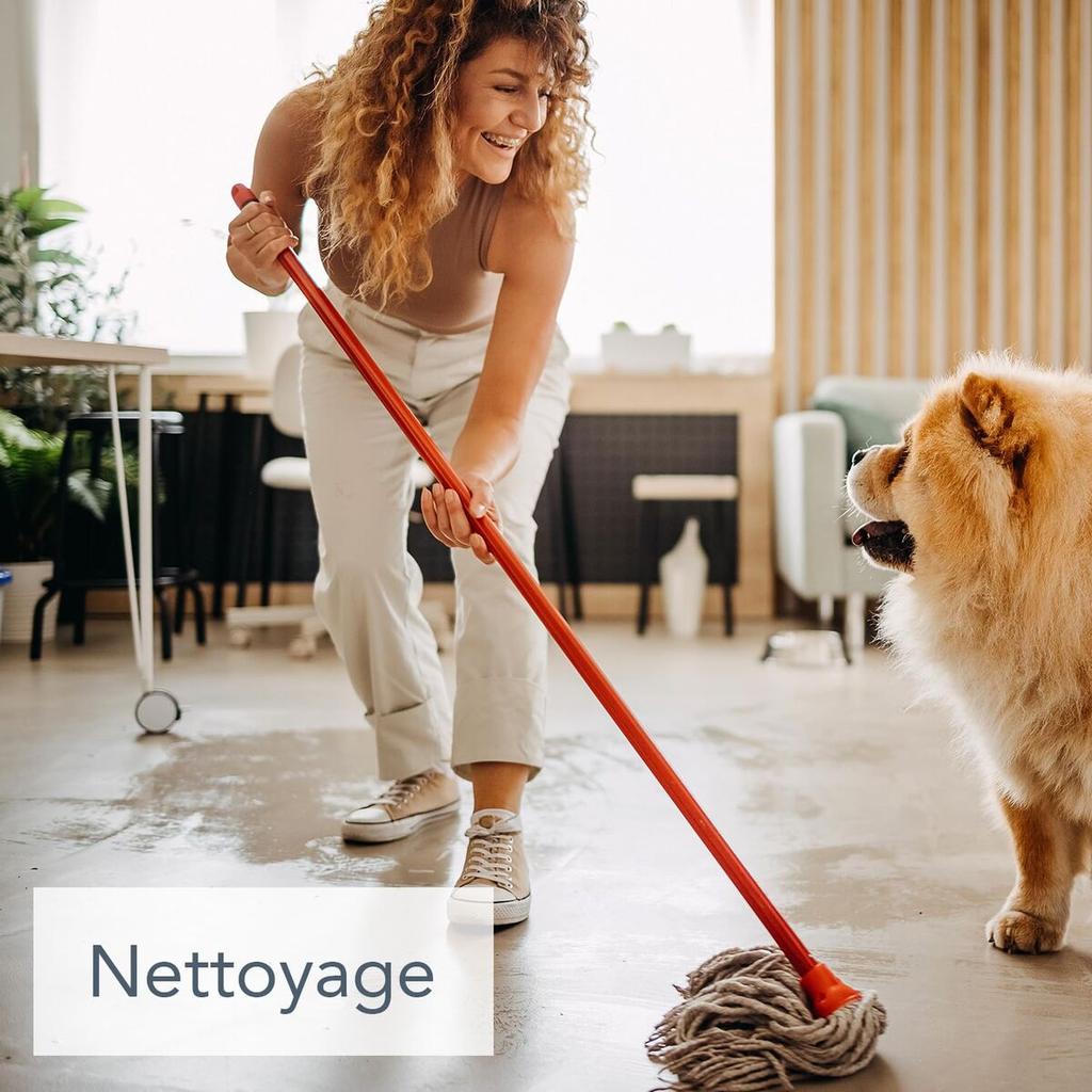 Disinfectant Saniterpen 1 L