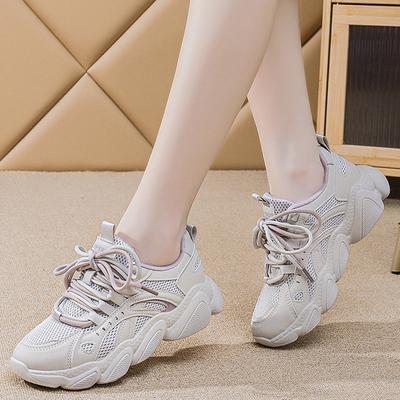 2025 New Spring and Autumn Sports Versatile Casual Shoes Mesh Platform Dad Shoes Women's Fashion Running Sneakers