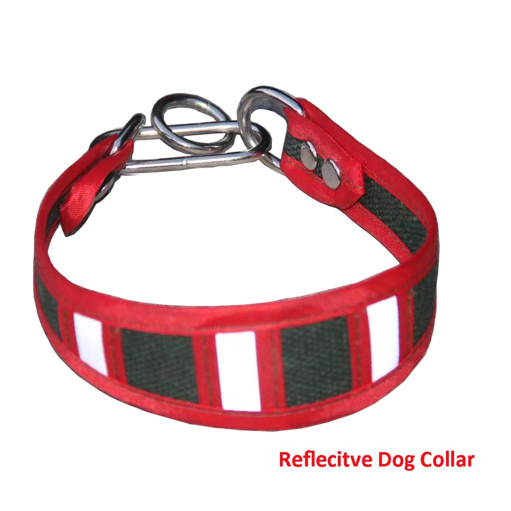 Pet Reflective Collar Leash Gree Greyhound Whippet Thin Dog Canvas Luminous Collar for Small/Medium/Large Dogs