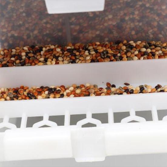 1 Set Bird Feeder Removable Transparent Plastic Parrot Hanging Automatic Feeder Garden Supply