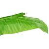 vidaXL Künstlicher Bananenbaum mit Topf 300 cm Grün