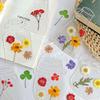 40pcs DIY Transparent Bookmarks for Dried Flowers (Pressed Flowers Excluded)