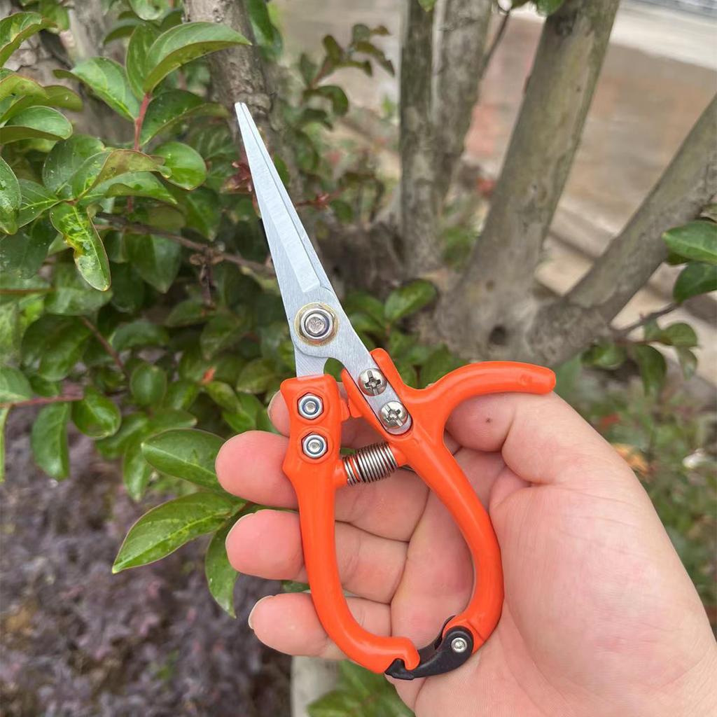Gardening Secateurs Cutting Pruner Garden Hand Pruners Fruit Tree Pruning Shears Grape Fruit Picking Weeds Pruner Gardening Tool