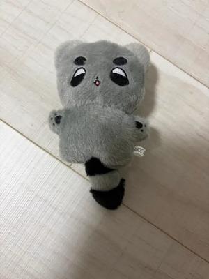 Raccoon Cops Dolls for Sale