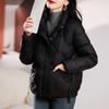 Women's cotton-padded clothes winter new stand-up collar short down cotton clothes loose and thickened women's bread clothes jacket