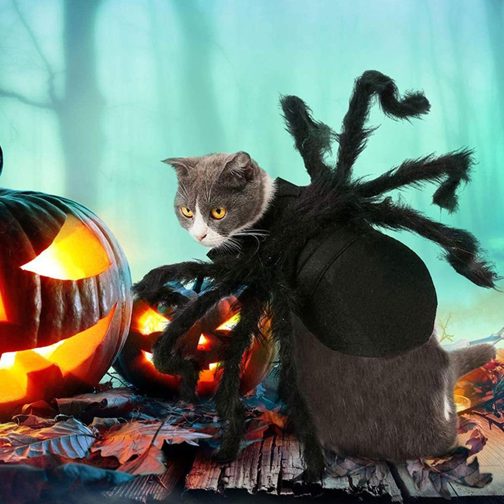 Pet Halloween Costume Dog Cosplay Spider Costume Dog Spider Harness Dog Costume