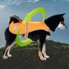 Reflective Dog Safety Vest Adjustable Breathable Puppy Visibility Jacket Comfortable Yellow Pet Fluorescent Clothes Shiba Inu