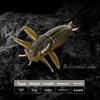 6Pcs Realistic Bionic Worm Lure Anti-hook snag Floating Bait Premium Soft Fishing Lure  Bass