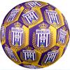 Anderlecht FC Size 5 Standard Football Durable Training Match Soccer Ball for Adult Outdoor Sports