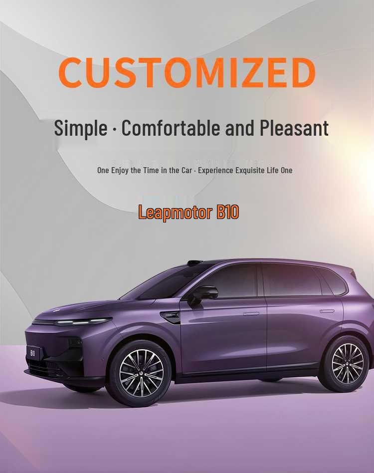 Coprisedile in Pelle a Copertura Totale Leapmotor B10 - Cuscino per Sedile Auto per Tutte le Stagioni per Modello B10