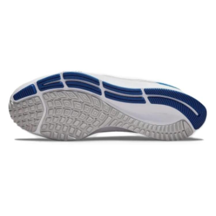 Nike Air Zoom Pegasus 38 'Kentucky' Men's DJ0830-001