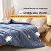 HLA Xinjiang Pure Cotton Quilt