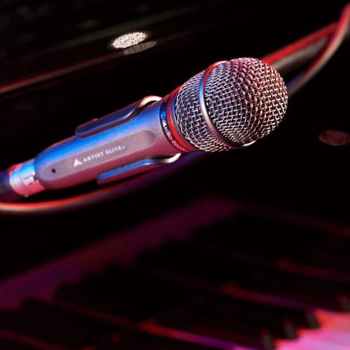 Audio-Technica AE6100 Dynamic Microphone, XLR, Super Cardioid, for Vocals, Live Performances, and DTM, Includes Microphone Holder and Pouch