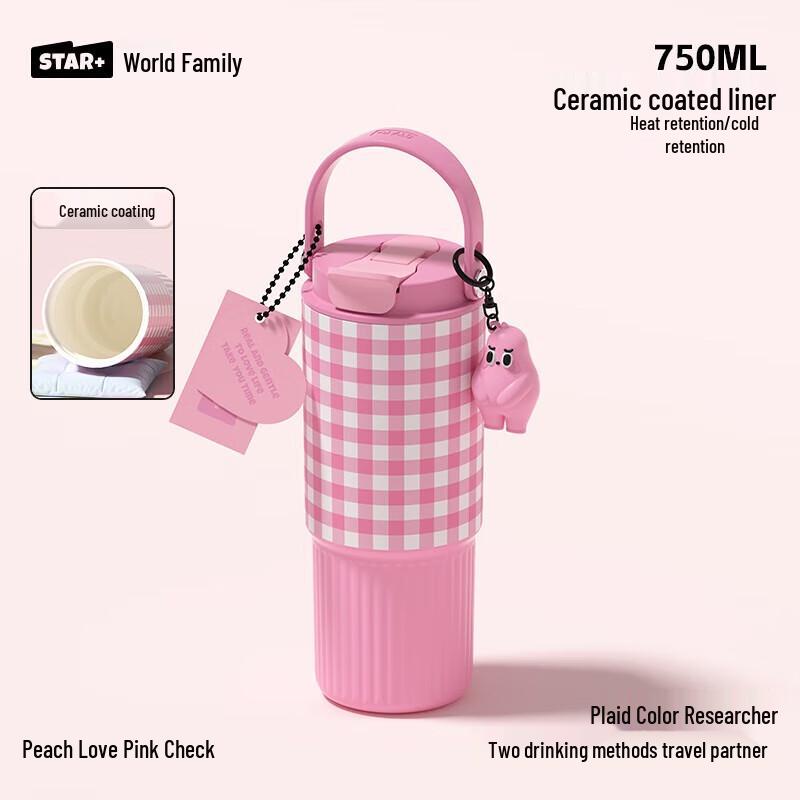 Portable Insulated Stainless Steel Tumbler with Straw