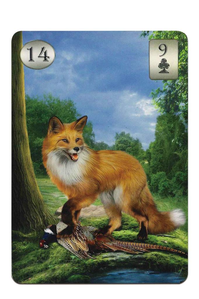 Lenormand Cards, 36 cards, for fortune-telling [Official Import] [Thelema Lenormand Oracle Cards] with Japanese instruction sheet, "Beautiful Digital