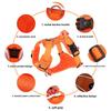 Pet Harness Vest With Nonextendable Leash For Small Dogs And Cats