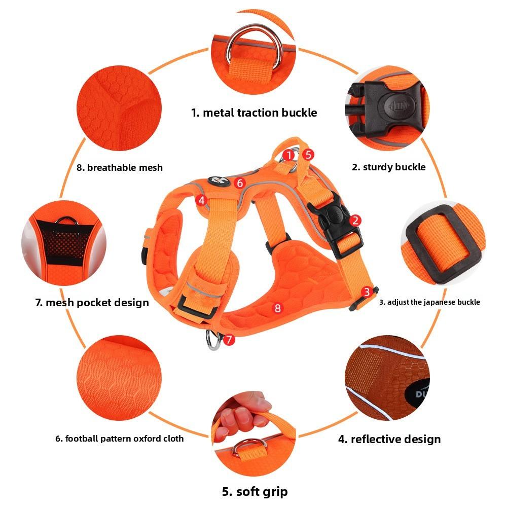 Pet Harness Vest With Nonextendable Leash For Small Dogs And Cats