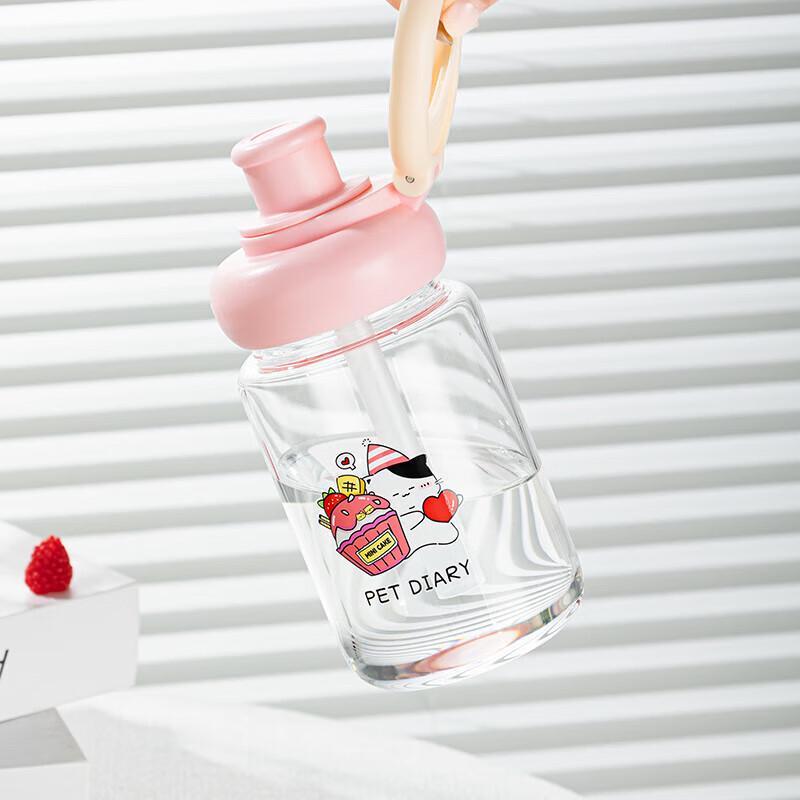 Shanzhongshan Portable Glass Straw Cup