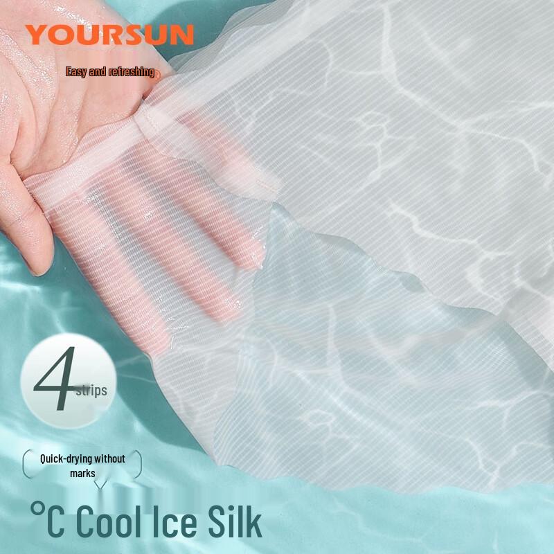 Easy Comfort Women's Ice Silk Seamless Briefs 4-Pack