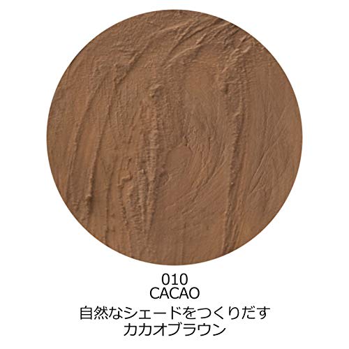 Visee Avant Multi Stick Color Cacao 010 6g
