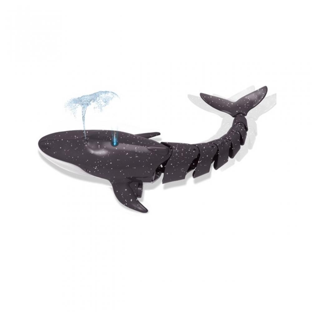     R C Whale  blaCk  Dk 18002 2bk