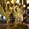 20M 50M 100M PVC Christmas Garland Light Outdoor Plug In Christmas Tree Rope Fairy Light Waterproof Tube String Light