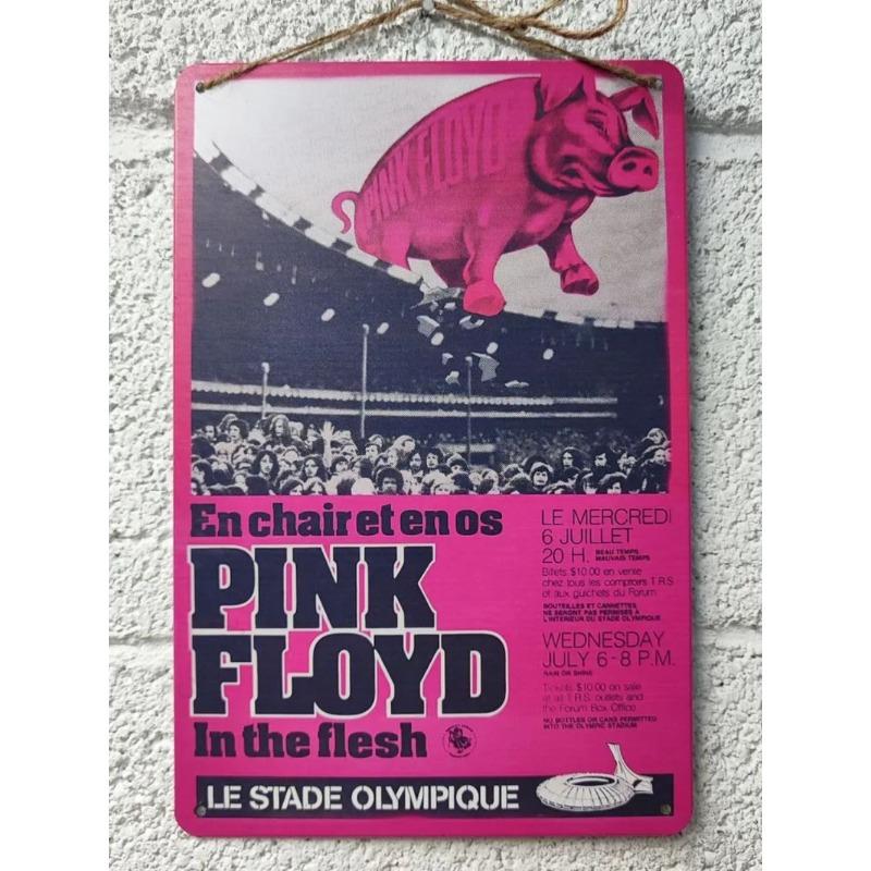 Pink Floyd Metal Poster, Guitarist Gift Wall Art 20x30cm