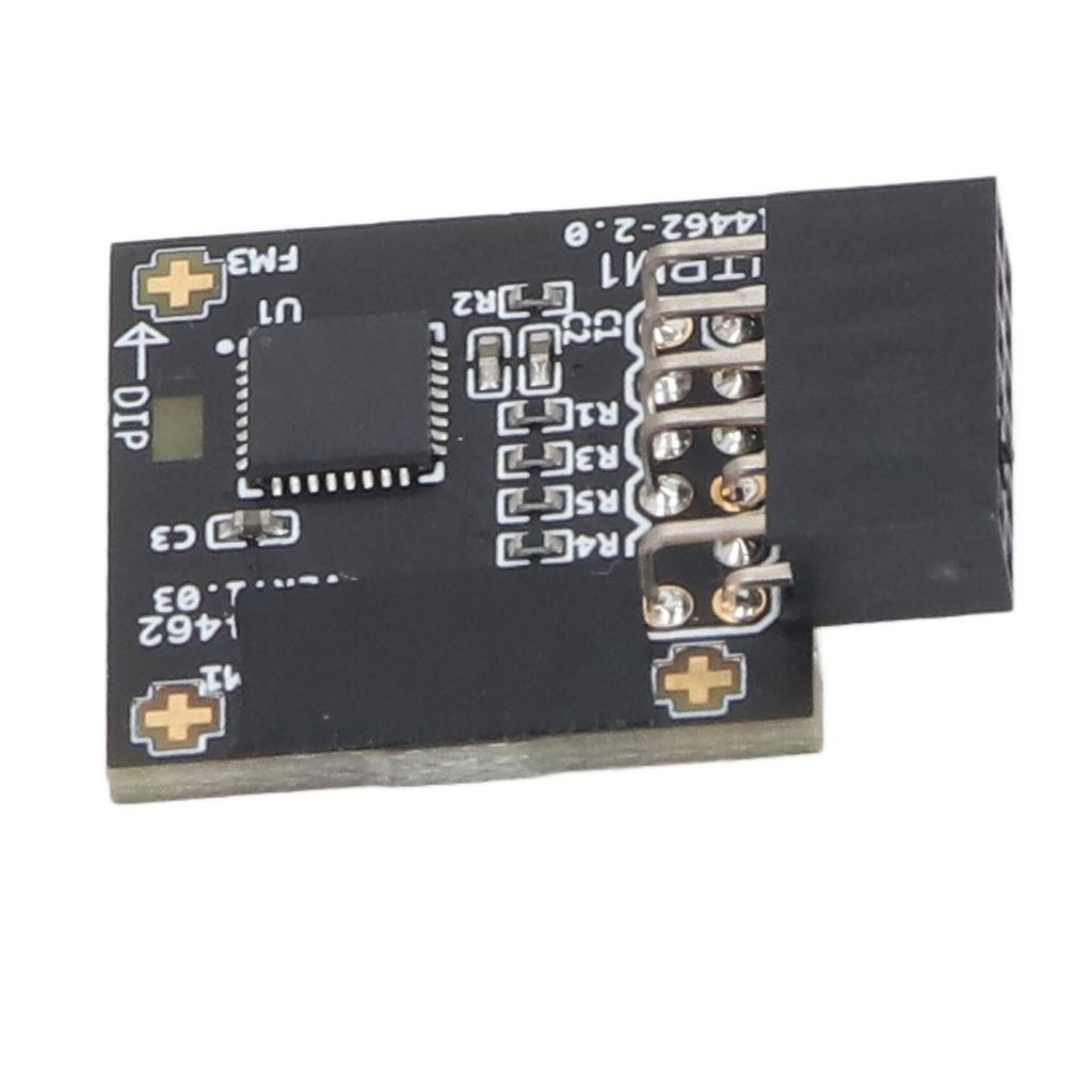 TPM2.0 Module TPM SPI 12Pin Module with SLB 9670 Security Module for Windows 10 11 Motherboards