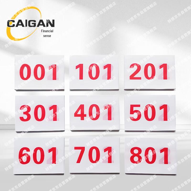 Marathon Race Bib Numbers 25x17cm