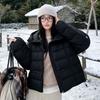 New cotton-padded clothes women's winter short fashion cotton-padded clothes women's loose warm hooded cotton-padded jacket