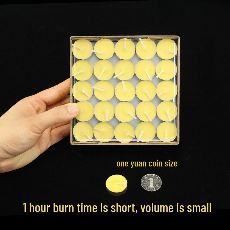 Offering Lights: 100 Smokeless Ghee Lights (8-Hour), 60 Su Oil Lights (4-Hour), 60 Candles (2-Hour) for Buddha.