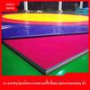 Professional Combat Sports Anti-Slip Mat Cover