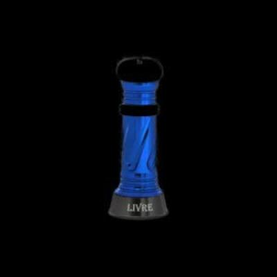 LIVRE 8138 Custom Balancer Daiwa C3 Type Gunmetal X Blue