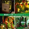 Moin Moin Dollhouse Miniature DIY Kit Fairy Tale Book Design with LED Light Small Size for Beginners