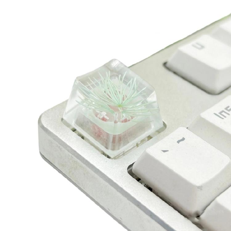 Resin ESC Keycap Decorative Pine Blossom Dry Flower Keycaps for Mechanical Keyboards with Exceptional Transparency