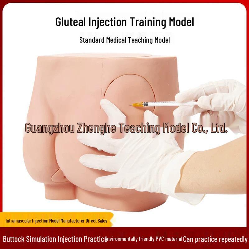 Human Buttocks Injection Training Model for Nurses: Practice Enema and Puncture Module PVC