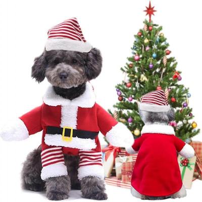 Jul, Kattejul Med Julemandshat, Julekæledyrskostume Julehættefrakke.