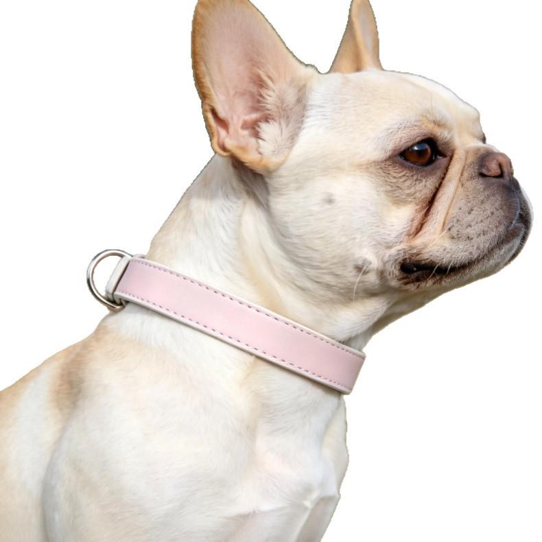 Pearlescent Dog Collar for Small & Medium Breeds: French Bulldog, Teddy