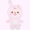 [Secure Payment/Unopened] Day Six Giant Jammar Jamalfil Doll for Sale