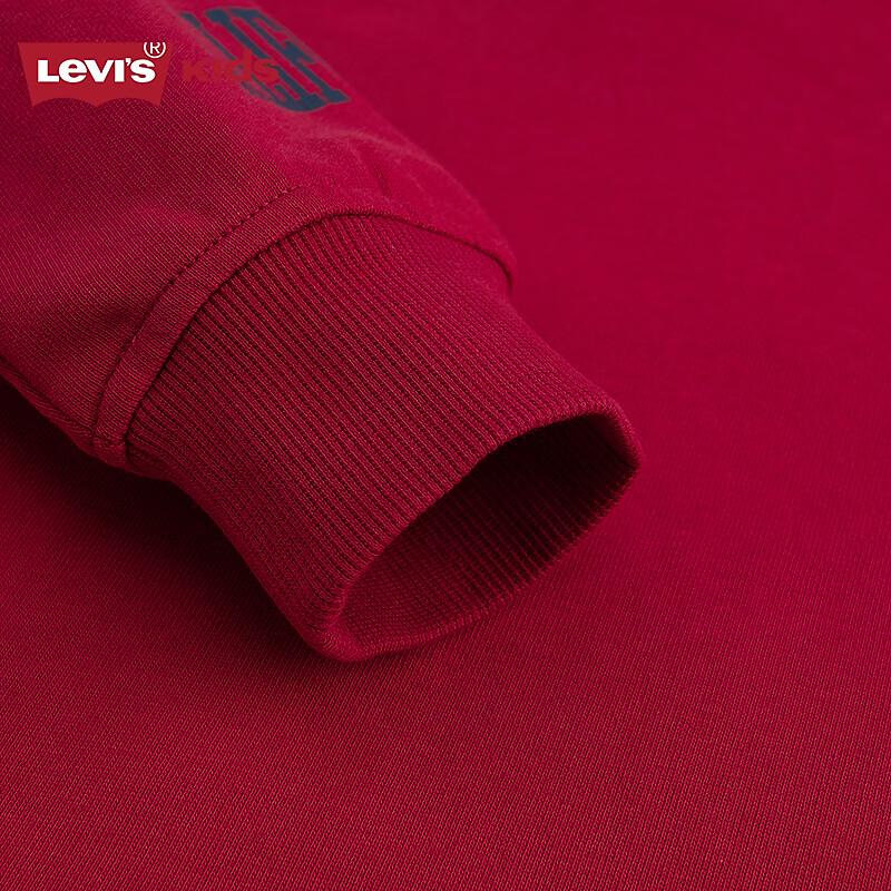 Levi's 2025 Boys' Hooded Sweatshirt