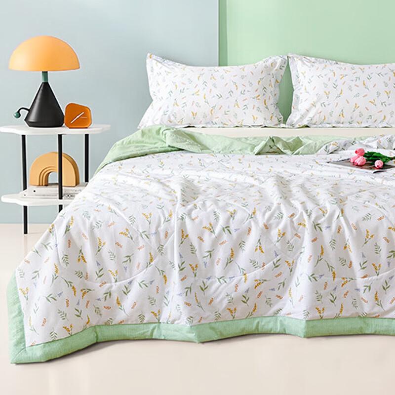 Yalu Class A Antibacterial All Cotton Printed Summer Quilt